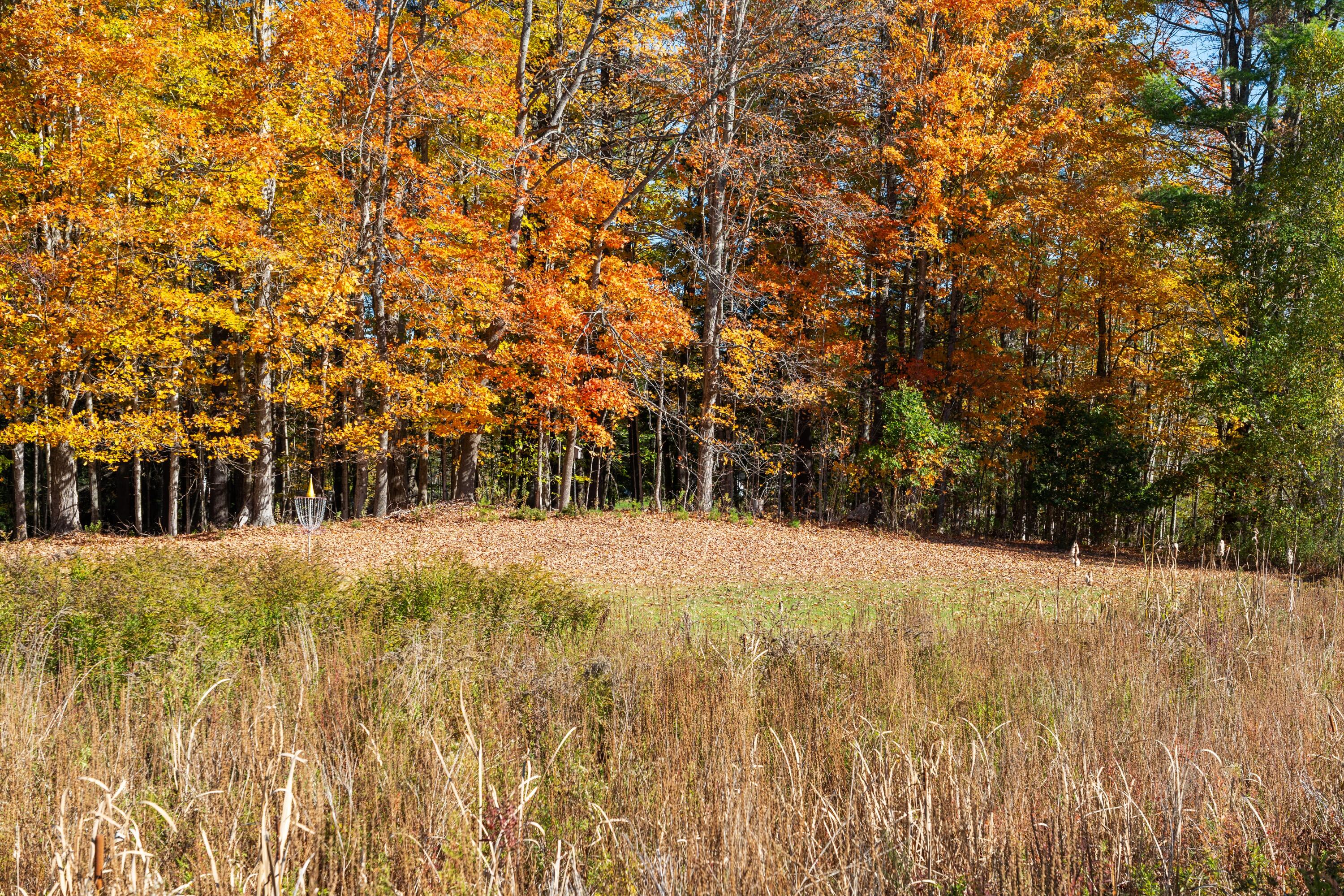 113 Capen Road Gardiner, ME 04345 - Photo 20 of 72 DSC03931