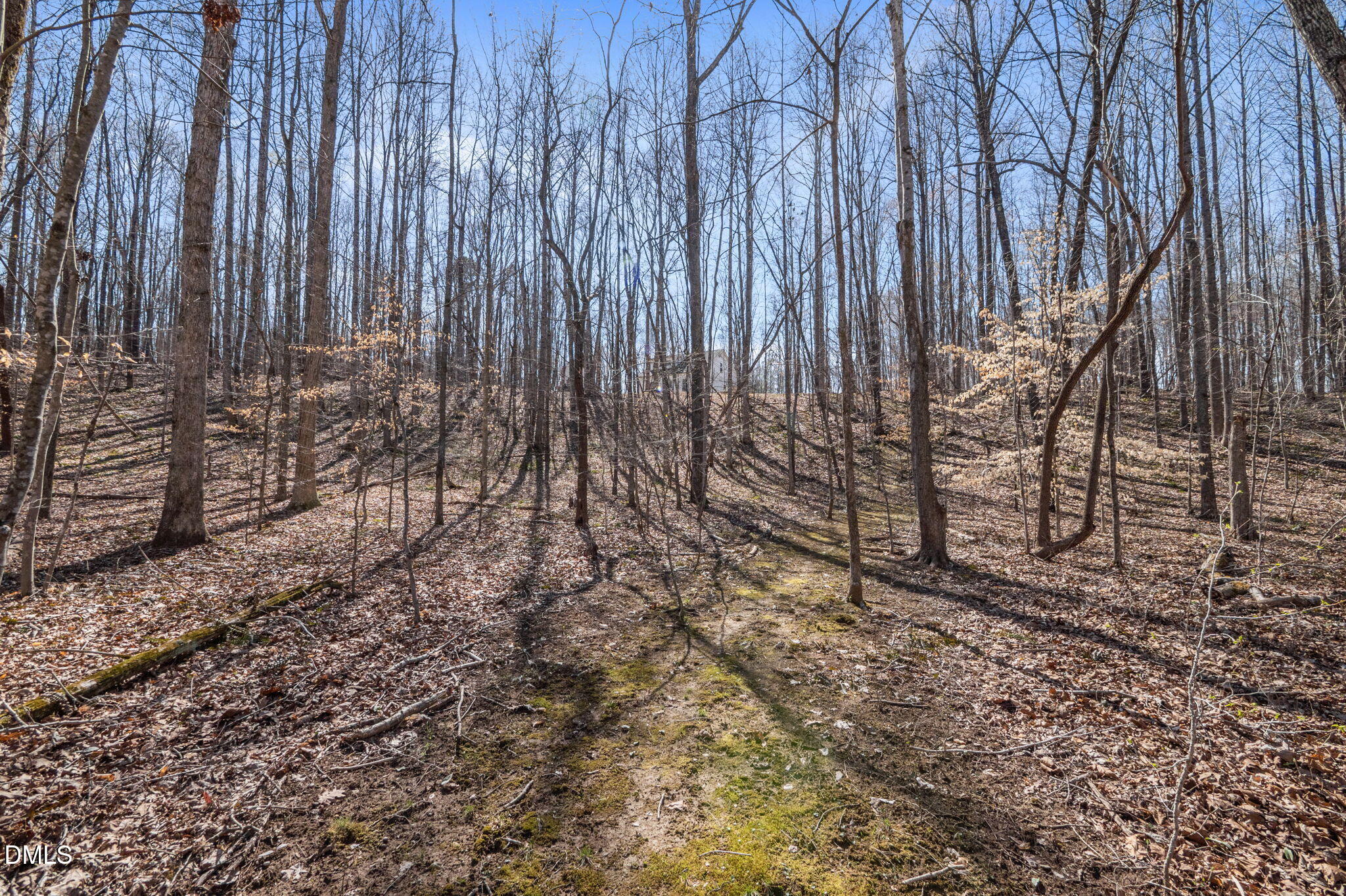 8514 Charlie Stovall Road Roxboro, NC 27574 - Photo 39 of 48 a view of a backyard with pathway