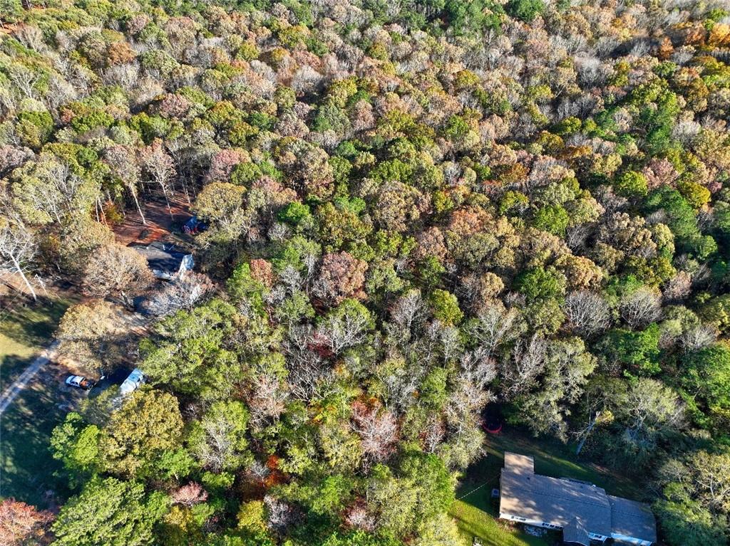 0 Browning Shoals Road Social Circle, GA 30025 - Photo 5 of 7