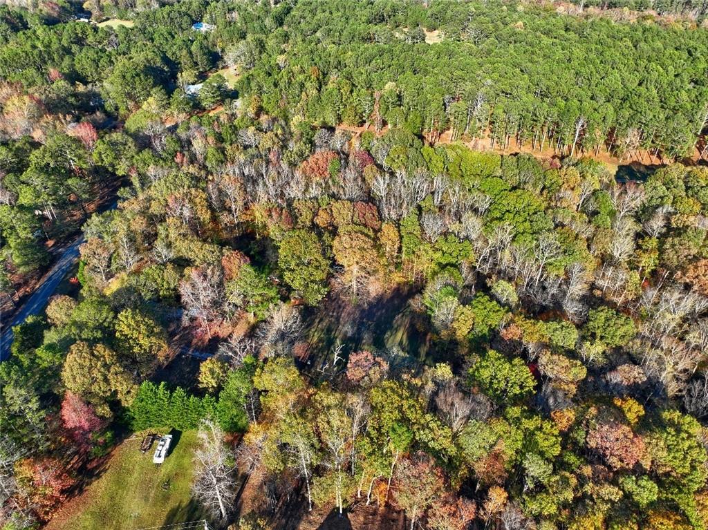 0 Browning Shoals Road Social Circle, GA 30025 - Photo 6 of 7