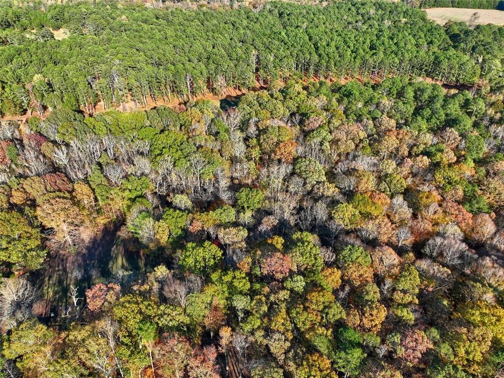 0 Browning Shoals Road Social Circle, GA 30025 - Photo 7 of 7