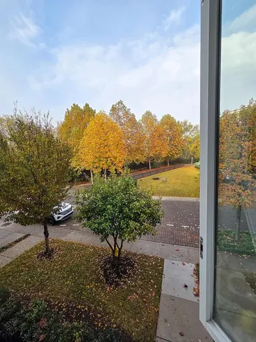 $2,395 | 3125 St Elmo Avenue, Chattanooga, TN 37408