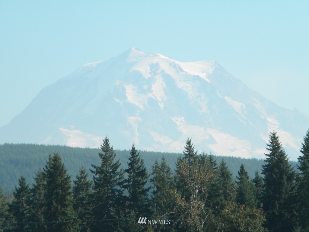 19222 Patterson Road East Orting, WA 98360 - Photo 3 of 15