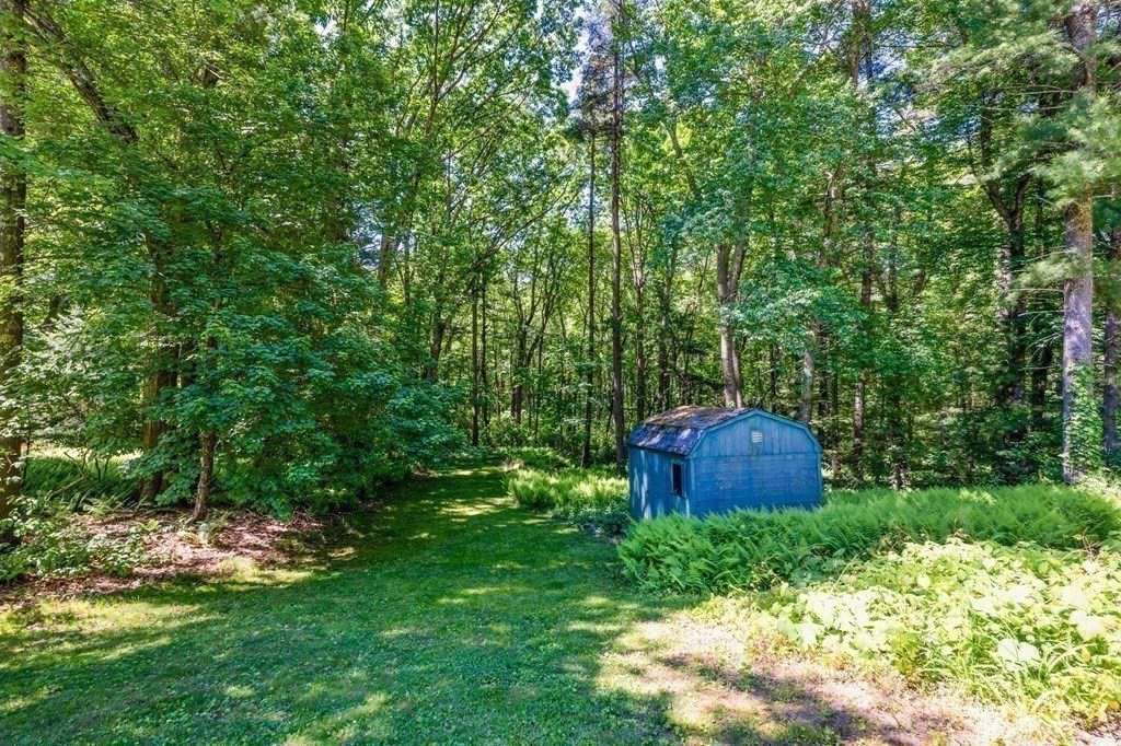 7 West Pine Drive Walpole, MA 02081 - Photo 29 of 35