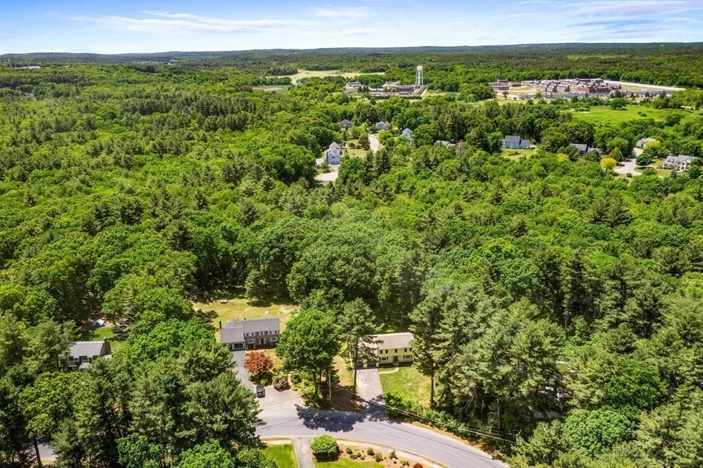 7 West Pine Drive Walpole, MA 02081 - Photo 31 of 35