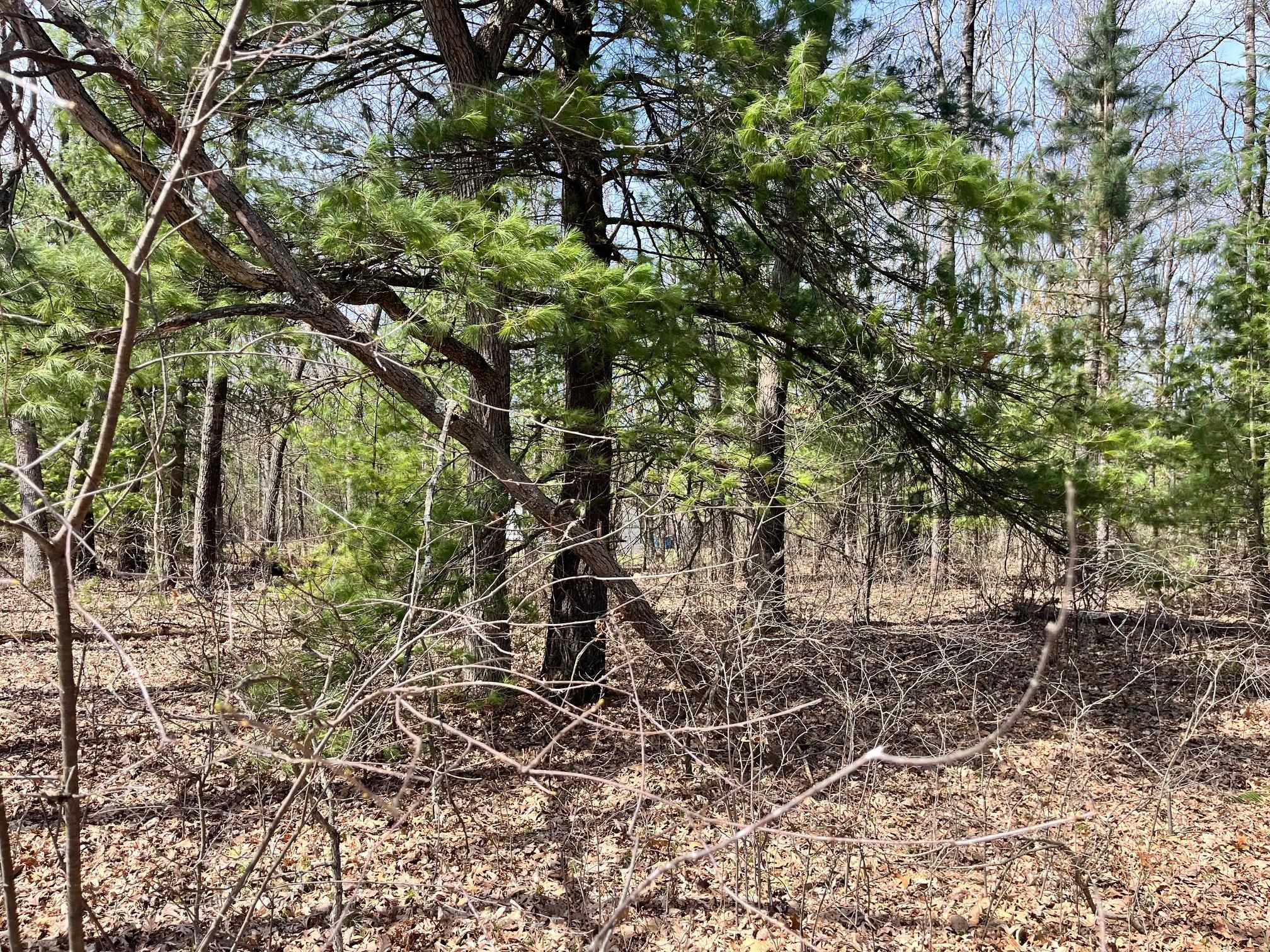 L 87-102 13th Friendship, WI 53934 - Photo 11 of 11