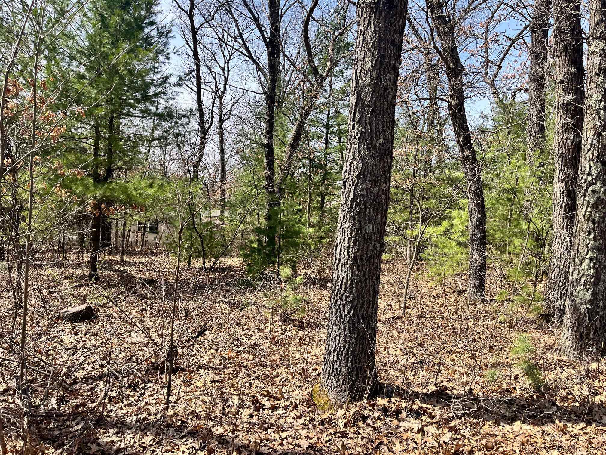 L 87-102 13th Friendship, WI 53934 - Photo 4 of 11