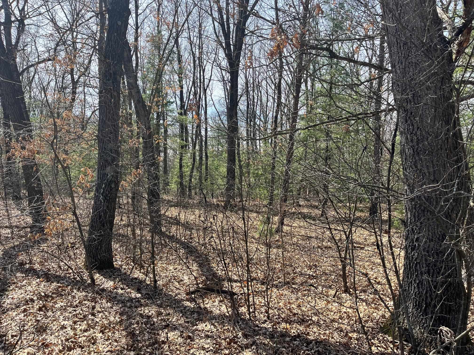 L 87-102 13th Friendship, WI 53934 - Photo 5 of 11