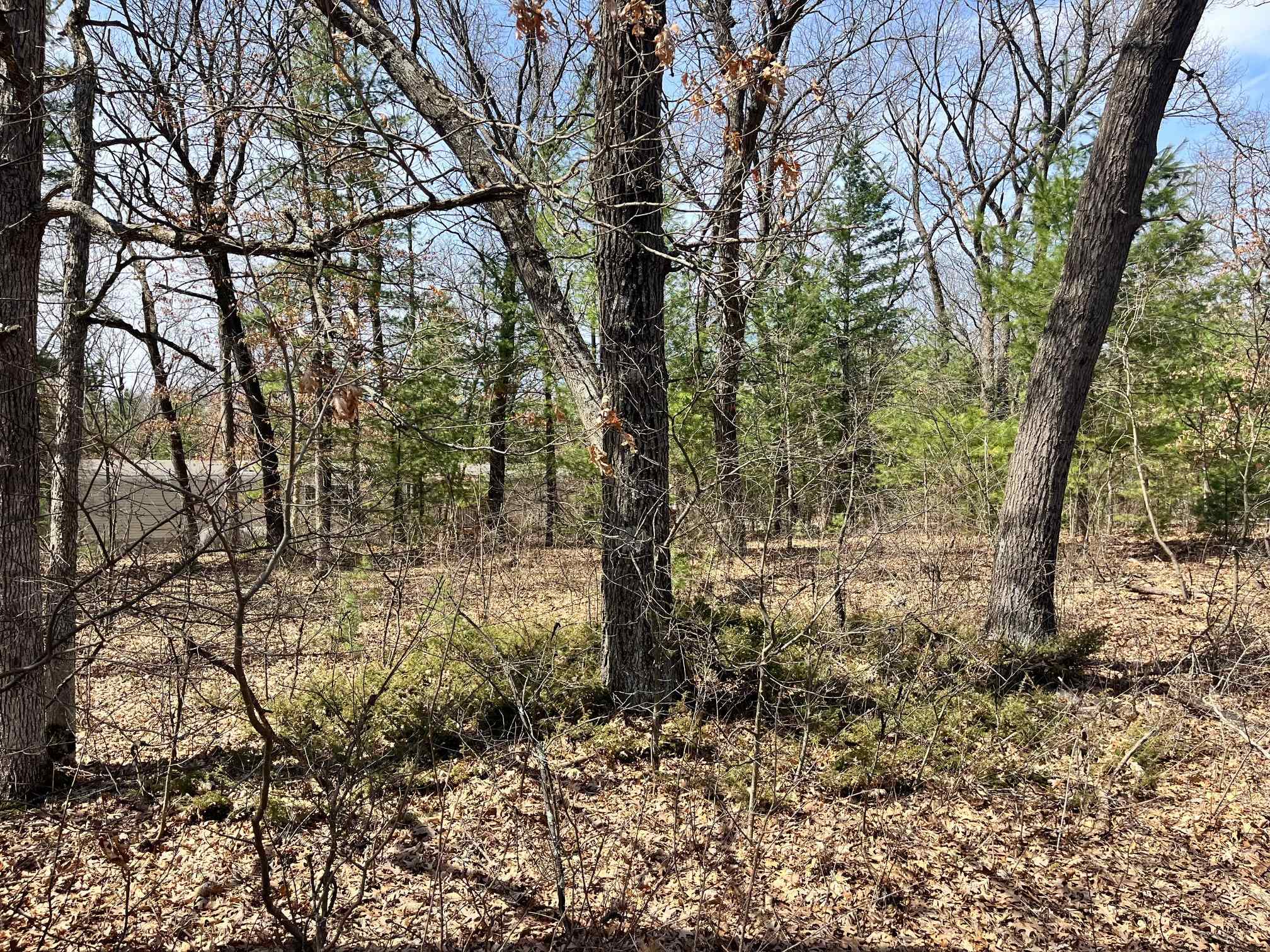 L 87-102 13th Friendship, WI 53934 - Photo 6 of 11