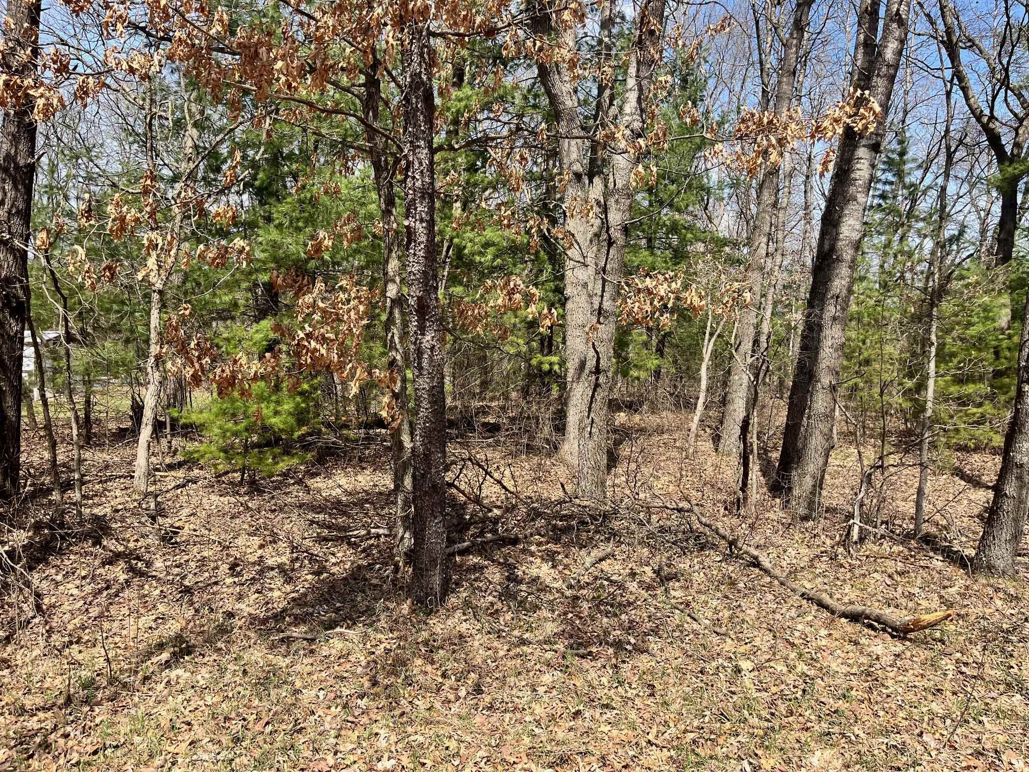 L 87-102 13th Friendship, WI 53934 - Photo 7 of 11