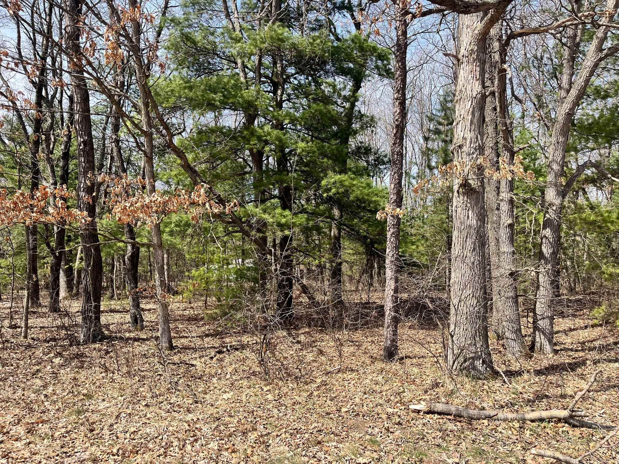 L 87-102 13th Friendship, WI 53934 - Photo 9 of 11