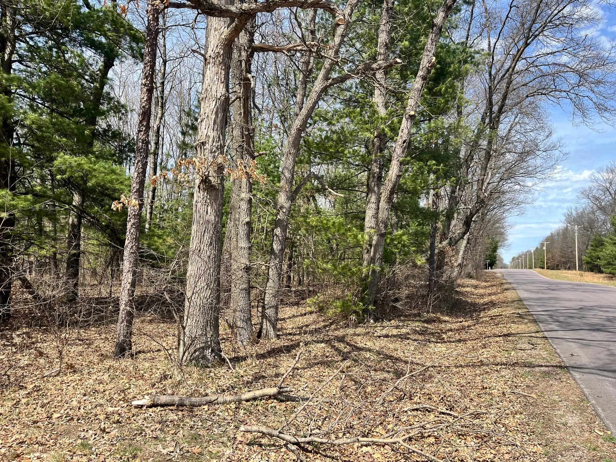 L 87-102 13th Friendship, WI 53934 - Photo 10 of 11