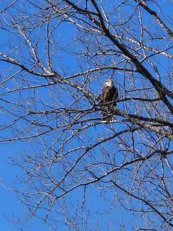 $1,250,000 | W11322 Red Cedar Drive, Lodi, WI 53555