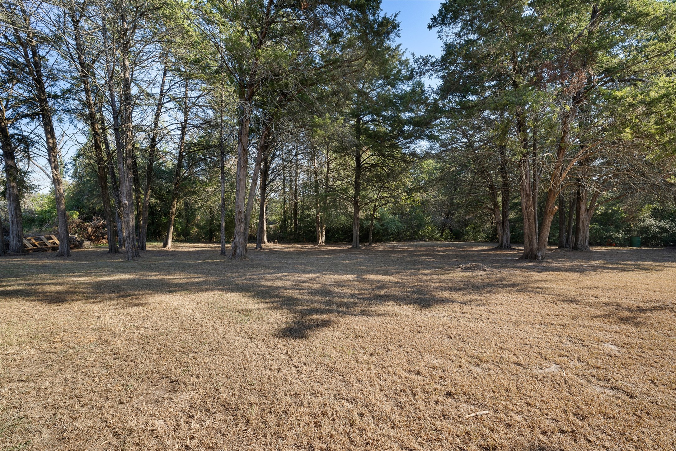 116 Lost Lane Bellville, TX 77418 - Photo 28 of 32 a view of backyard space
