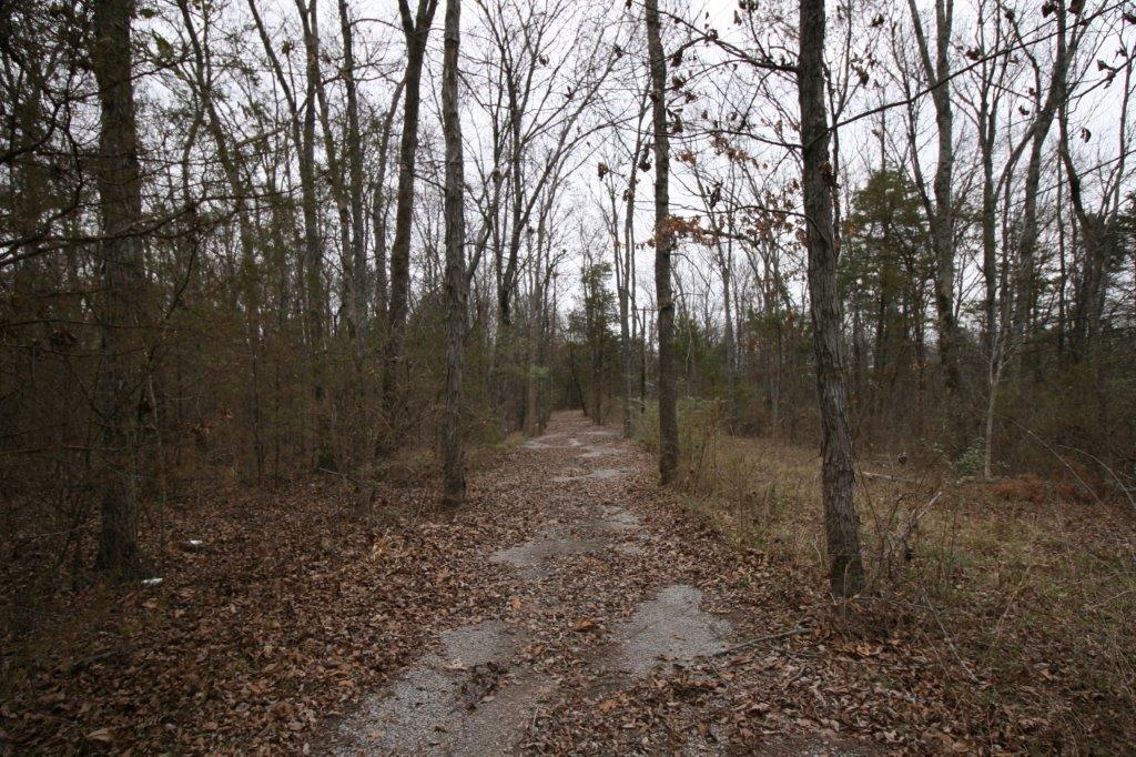 3131 Anderson Road Antioch, TN 37013 - Photo 5 of 7