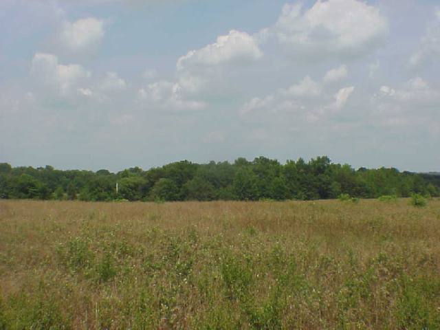 0 Keowee Road, Unit MARTIN RD Iva, SC 29655 - Photo 3 of 4