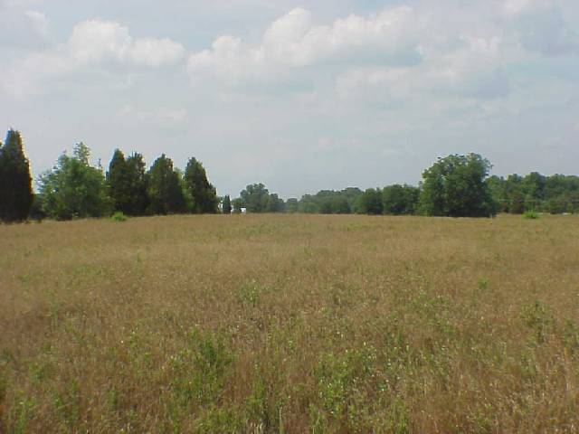 0 Keowee Road, Unit MARTIN RD Iva, SC 29655 - Photo 4 of 4