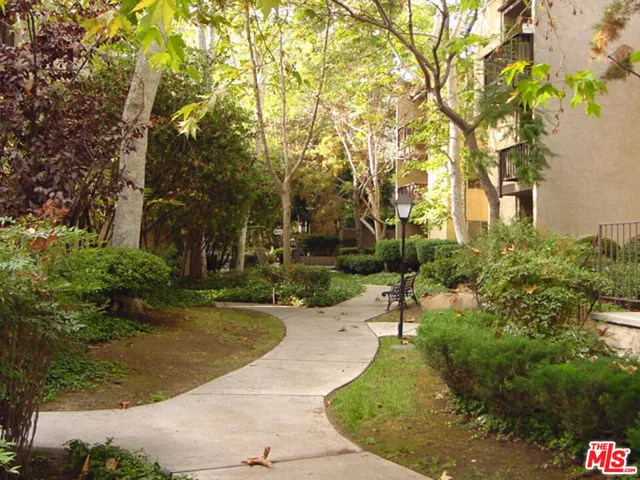 a view of a park with large trees