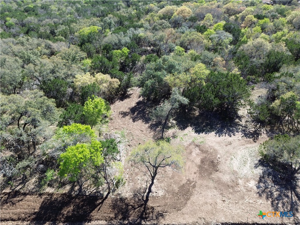 Tbd Lot 14 Tbd Ridge Salado, TX 76571 - Photo 1 of 7 a view of a yard with a tree