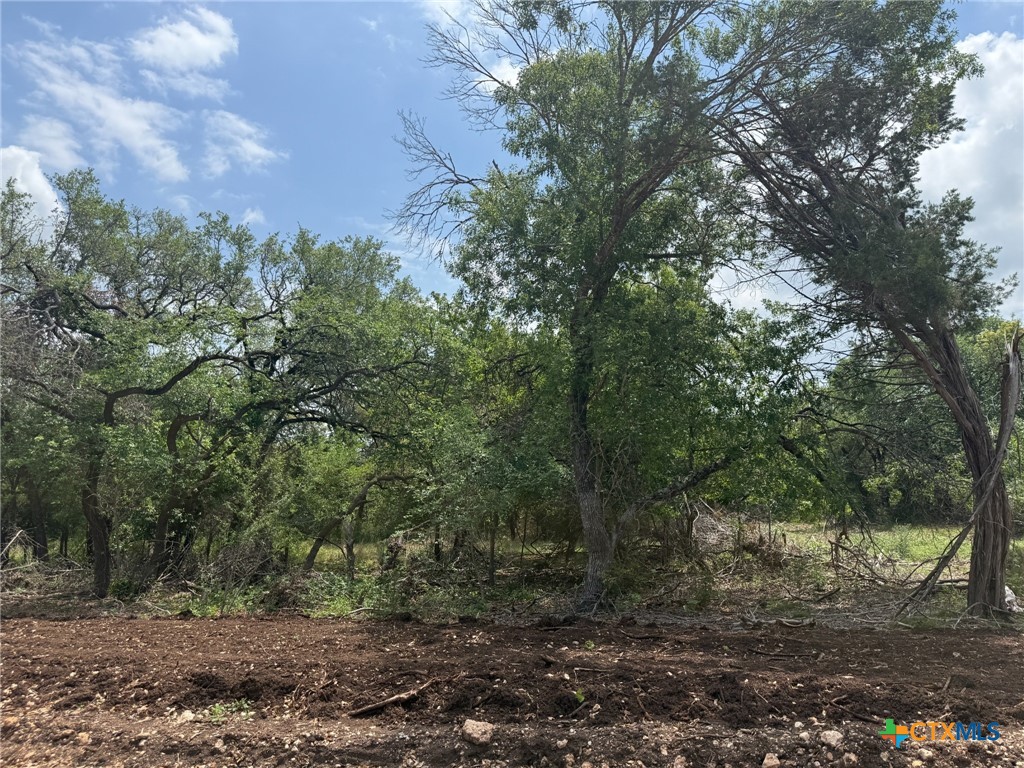 Tbd Lot 14 Tbd Ridge Salado, TX 76571 - Photo 2 of 7 a view of a forest filled with trees