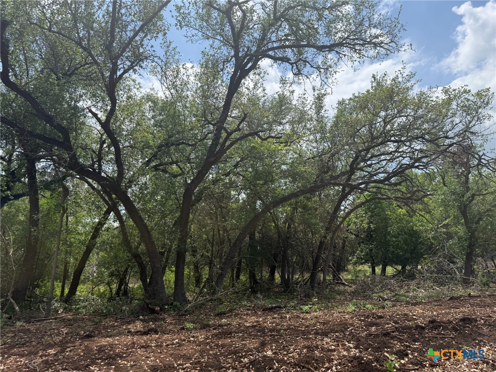 Tbd Lot 14 Tbd Ridge Salado, TX 76571 - Photo 3 of 7 a view of outdoor space and tree