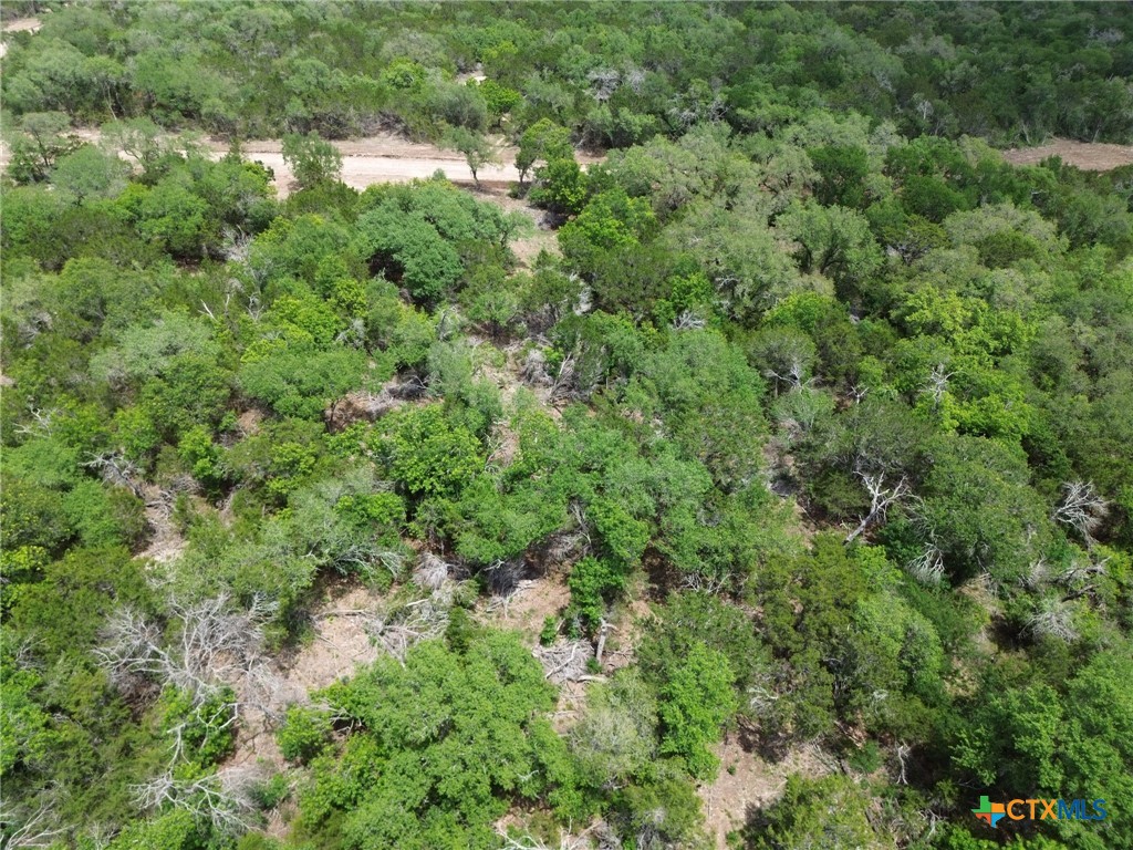 Tbd Lot 14 Tbd Ridge Salado, TX 76571 - Photo 4 of 7 an aerial view of residential house with outdoor space and trees all around