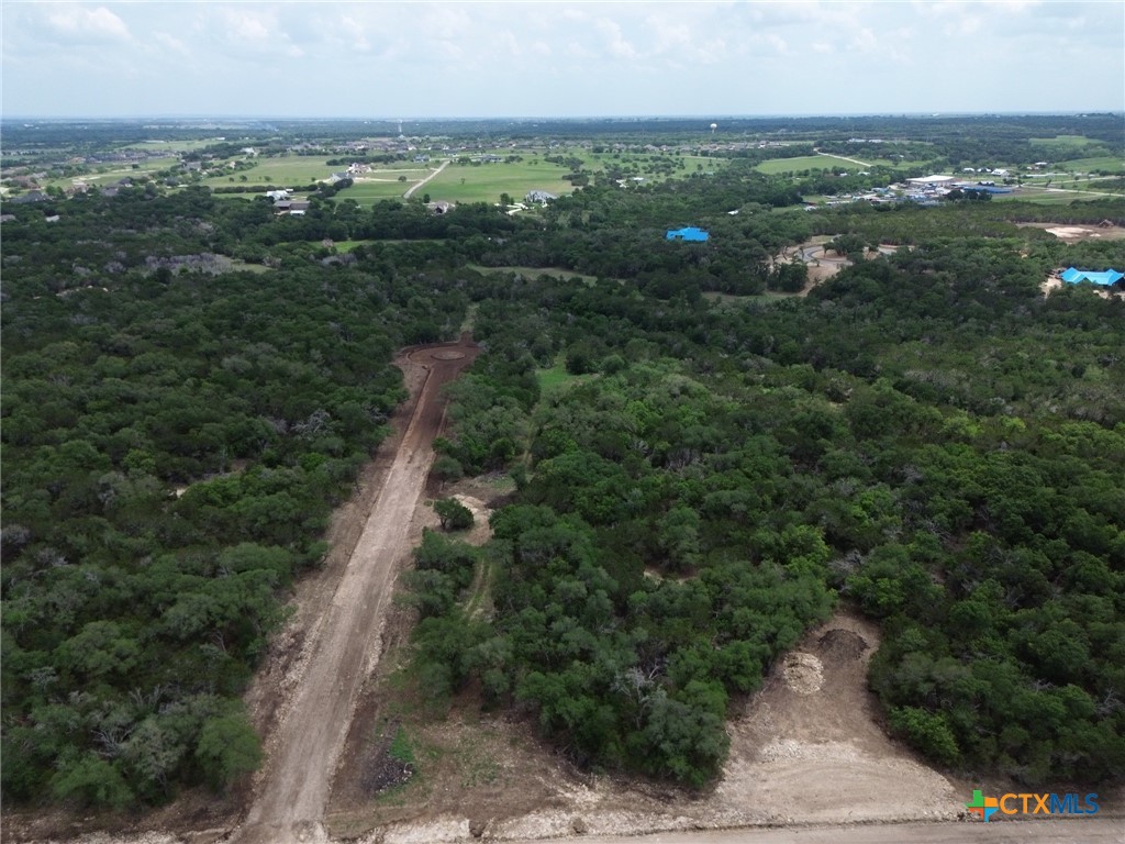 Tbd Lot 14 Tbd Ridge Salado, TX 76571 - Photo 5 of 7 an aerial view of residential houses with outdoor space and trees