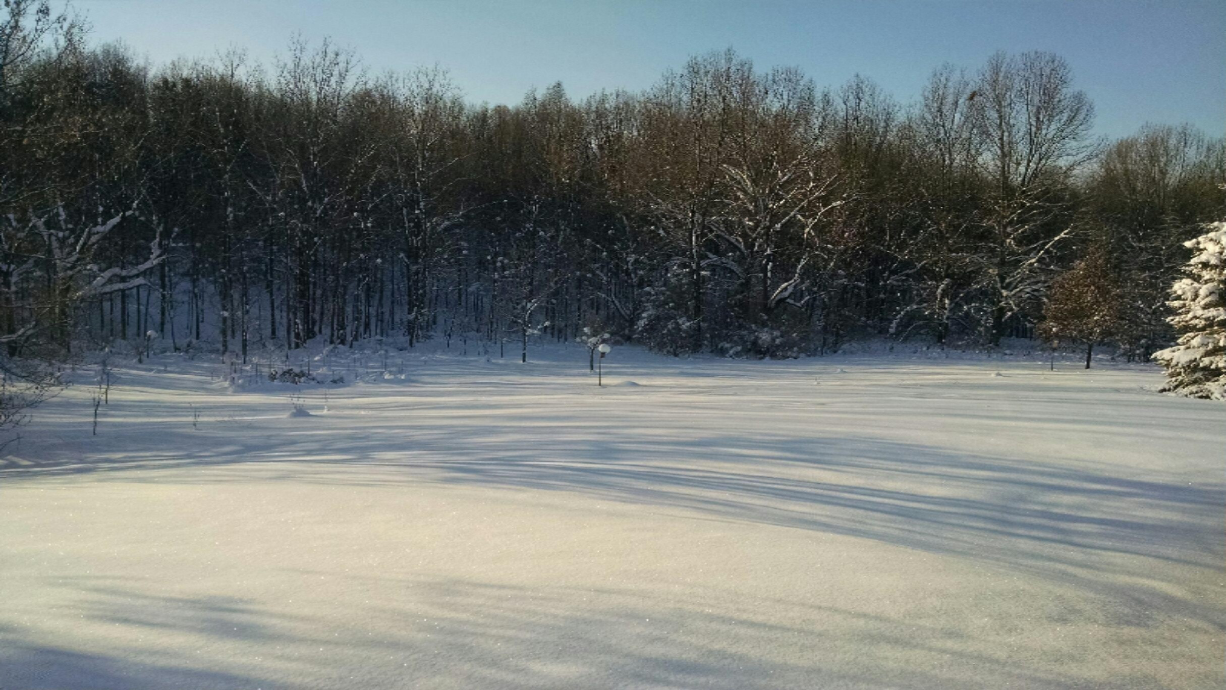 8300 2 Mile Road Northeast Ada, MI 49301 - Photo 3 of 17 BackYard