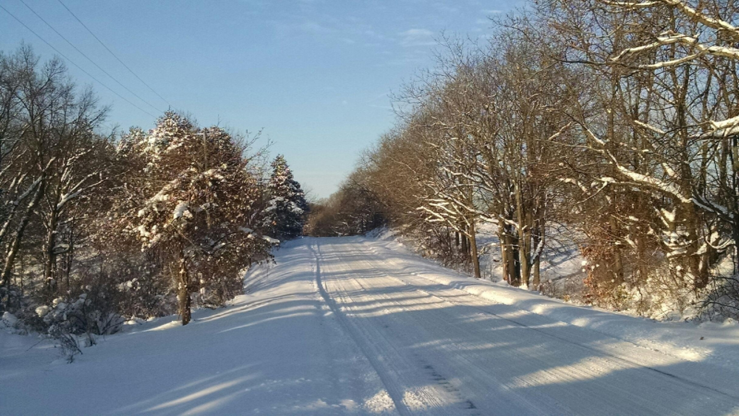 8300 2 Mile Road Northeast Ada, MI 49301 - Photo 5 of 17 2 Mile Road