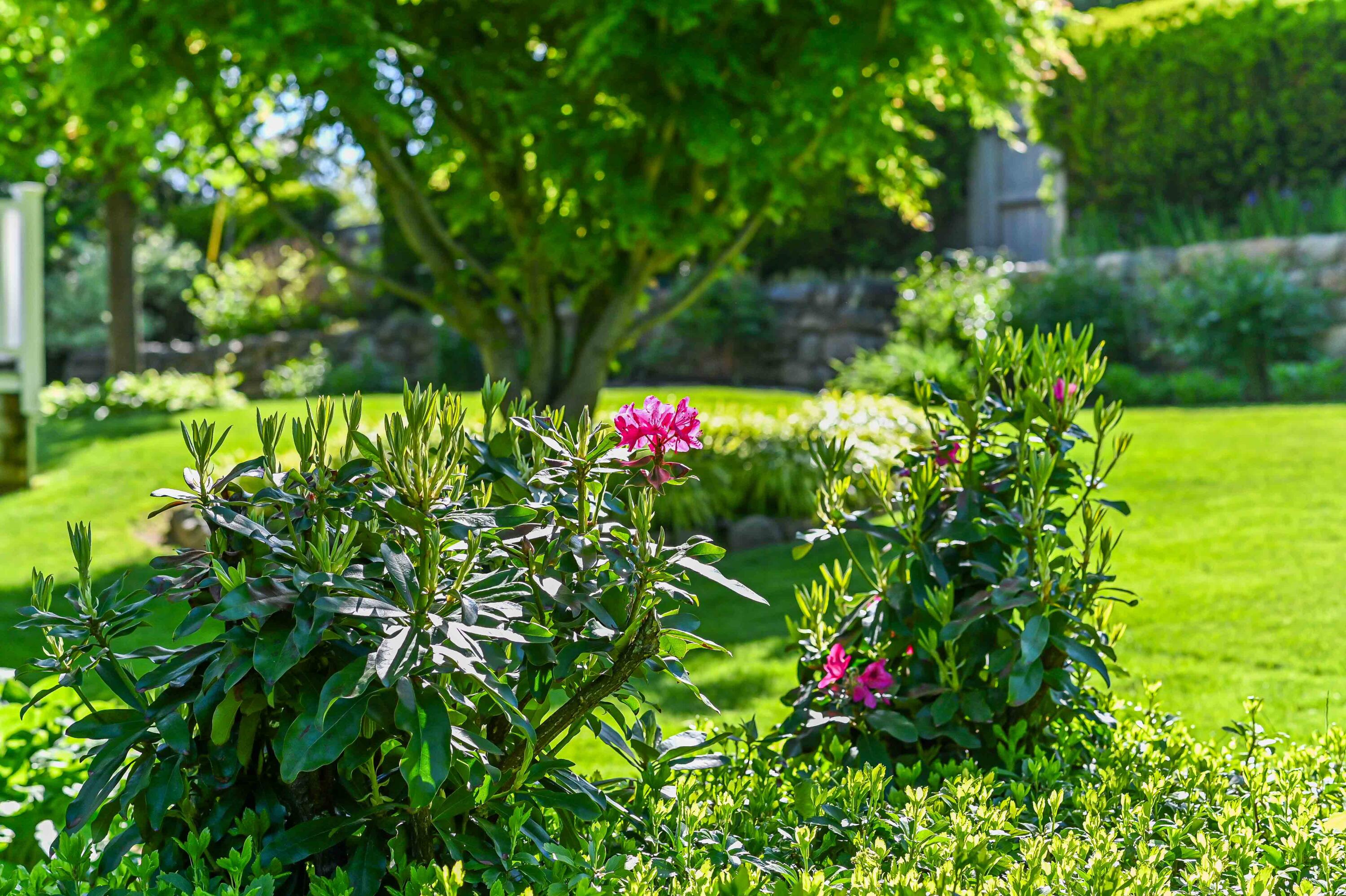 1 Norwood Farms Road York, ME 03909 - Photo 58 of 61 58