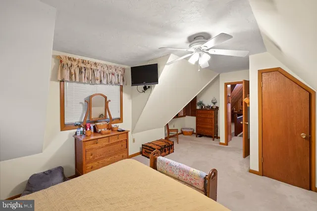 a view of a house with a yard plants and large tree