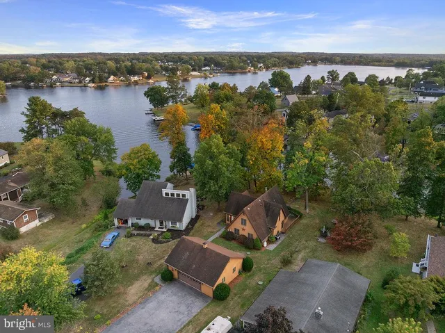 a view of a yard with plants and trees
