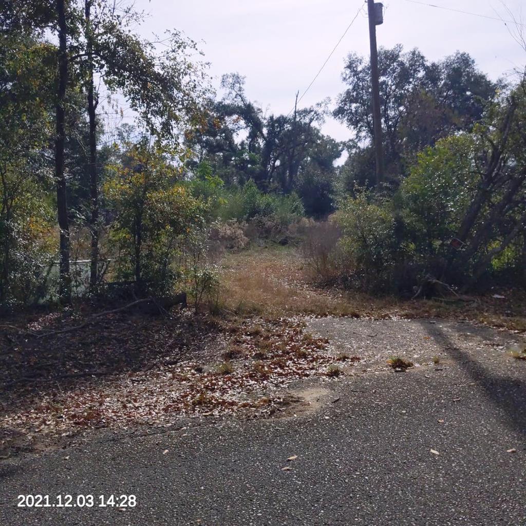 2390 Grimsley Road Gordon, AL 36343 - Photo 1 of 2