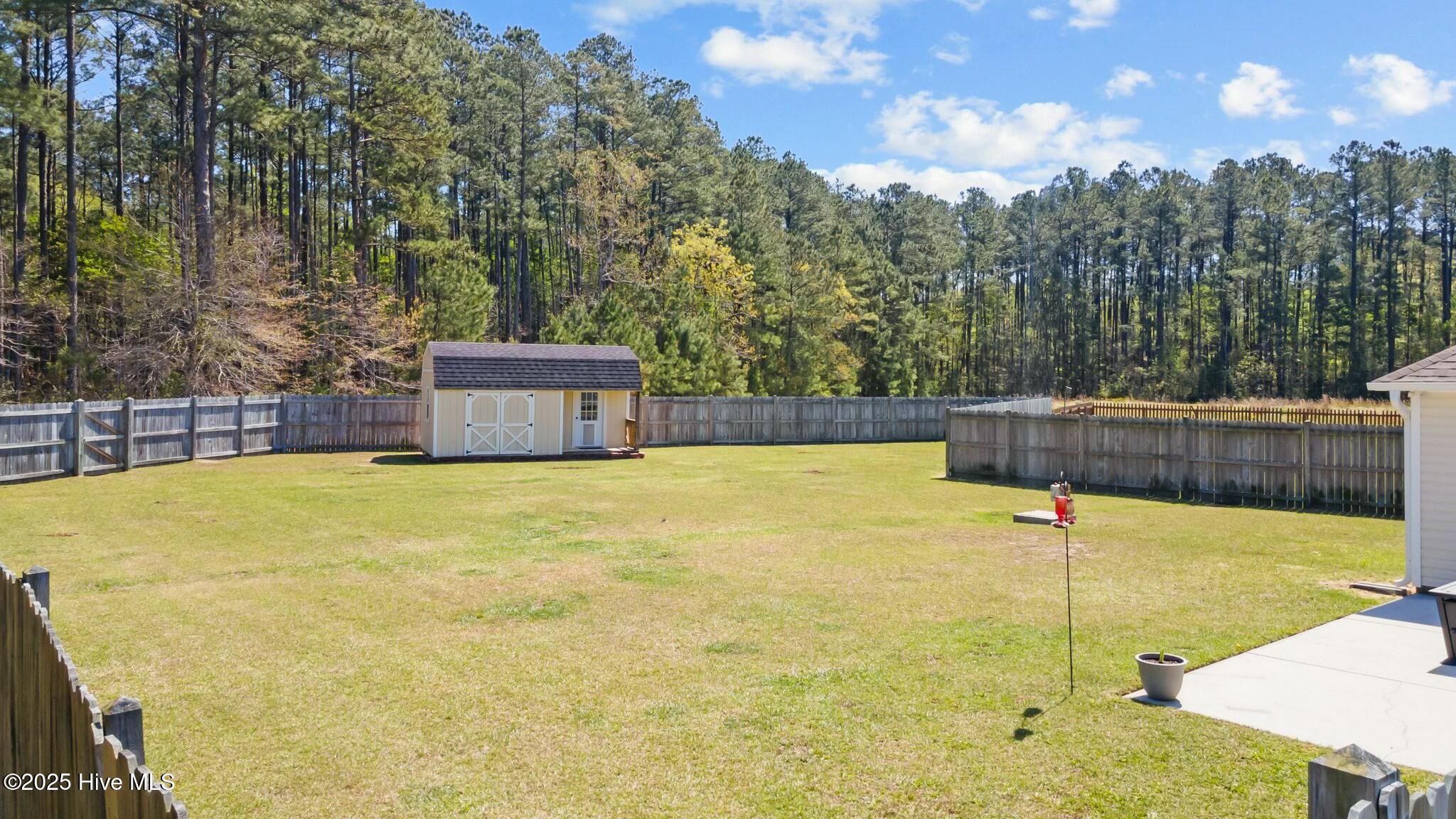 111 Apple Drive Havelock, NC 28532 - Photo 39 of 44 Back yard