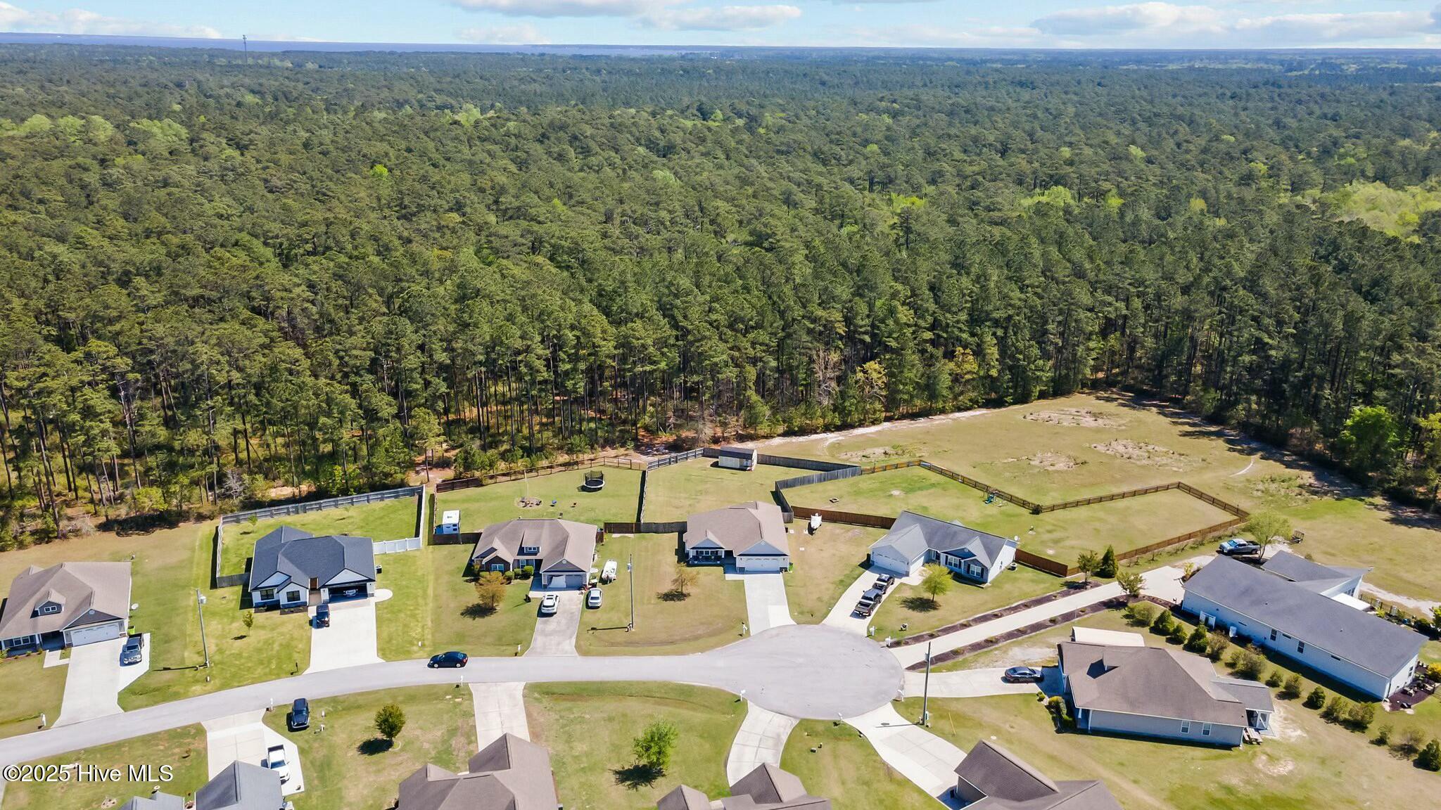 111 Apple Drive Havelock, NC 28532 - Photo 43 of 44 Aerial view
