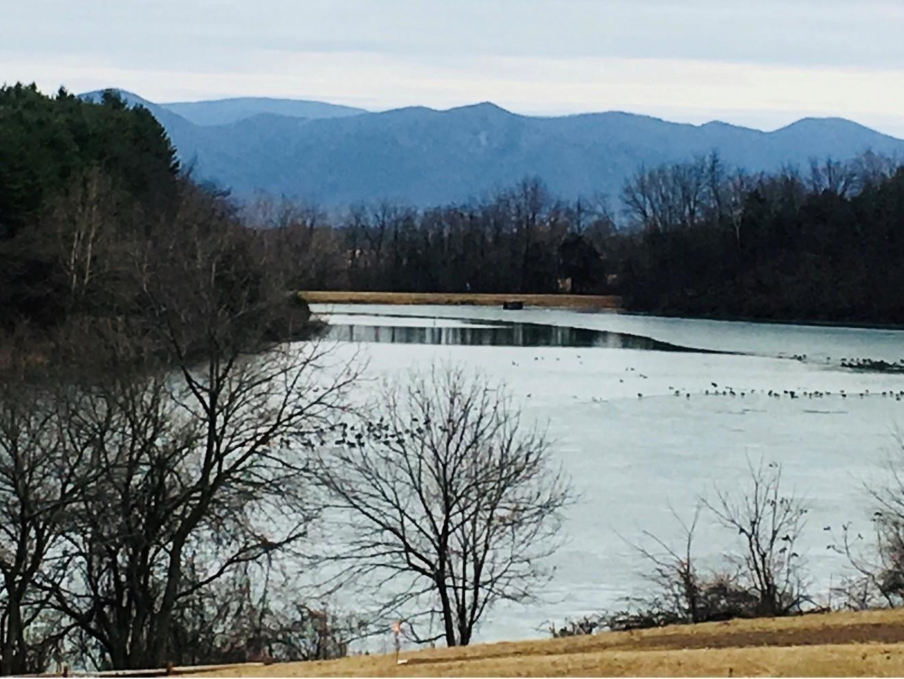 1.74-ac Massanetta Springs Road Harrisonburg, VA 22801 - Photo 22 of 32