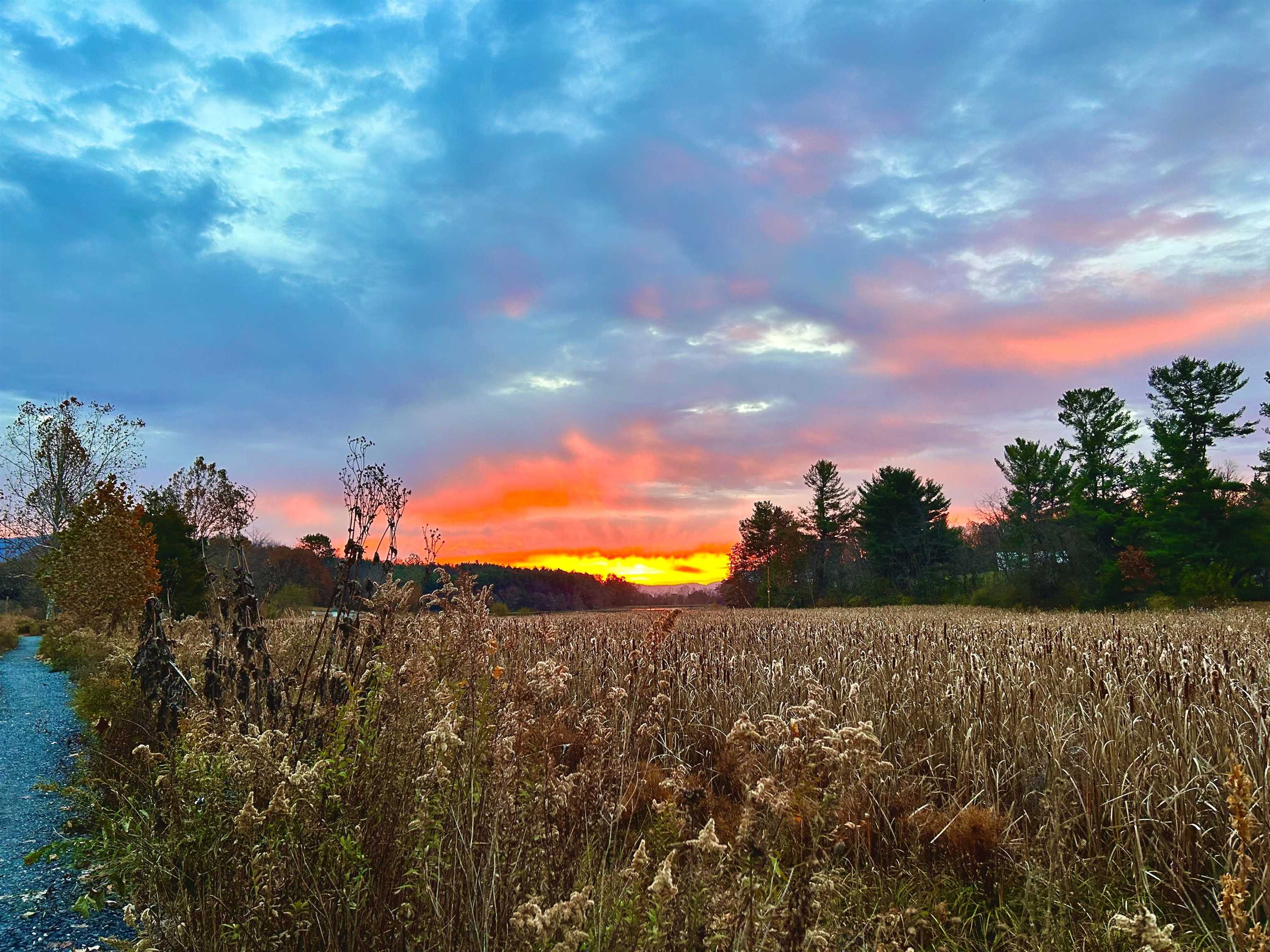 1.74-ac Massanetta Springs Road Harrisonburg, VA 22801 - Photo 30 of 32 a view of a sky