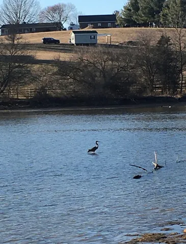 $380,000 | 1.74-ac Massanetta Springs Road, Harrisonburg, VA 22801