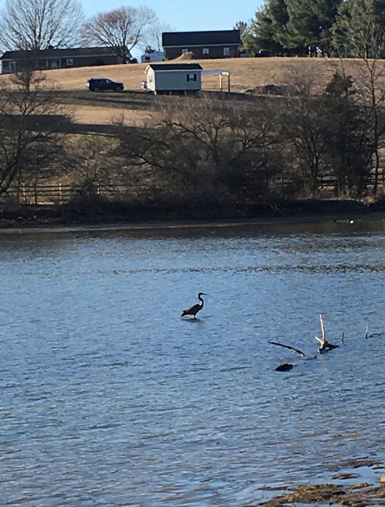 1.74-ac Massanetta Springs Road Harrisonburg, VA 22801 - Photo 6 of 8