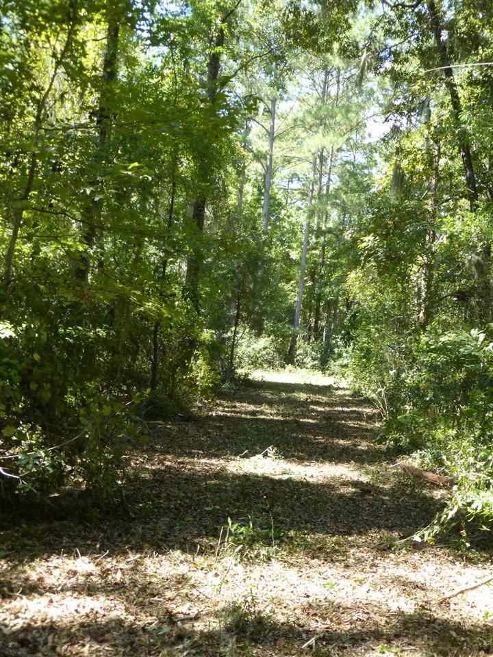 10 A Lanternlight Road Tallahassee, FL 32312 - Photo 8 of 14