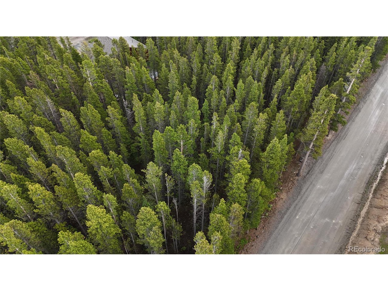 285 Lower Forest Road Idaho Springs, CO 80452 - Photo 21 of 23