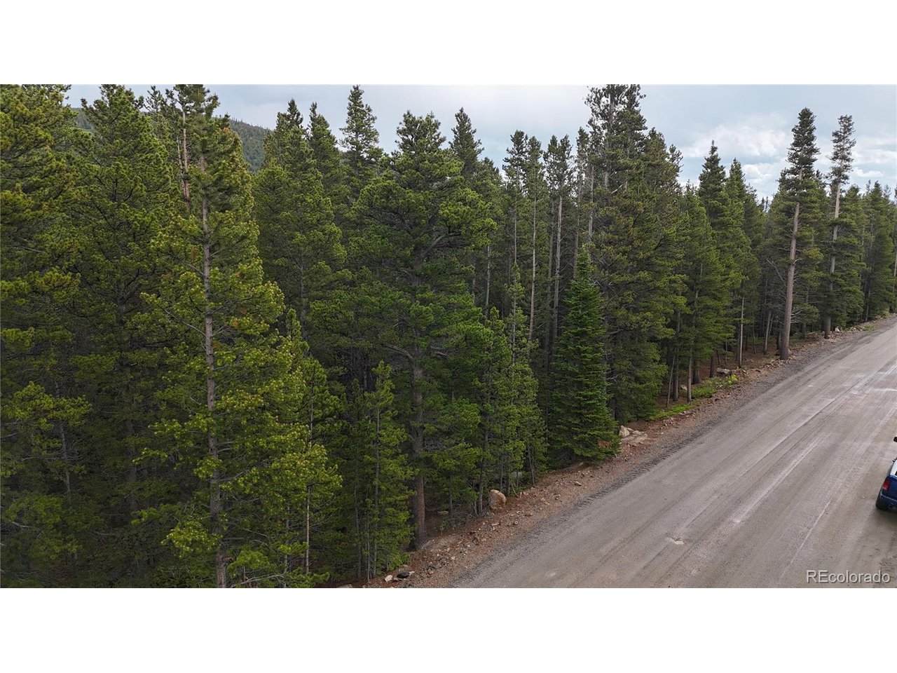 285 Lower Forest Road Idaho Springs, CO 80452 - Photo 22 of 23