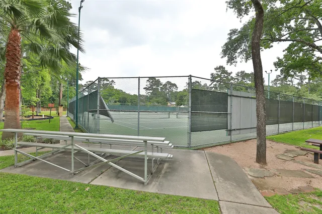 a view of a park with large trees