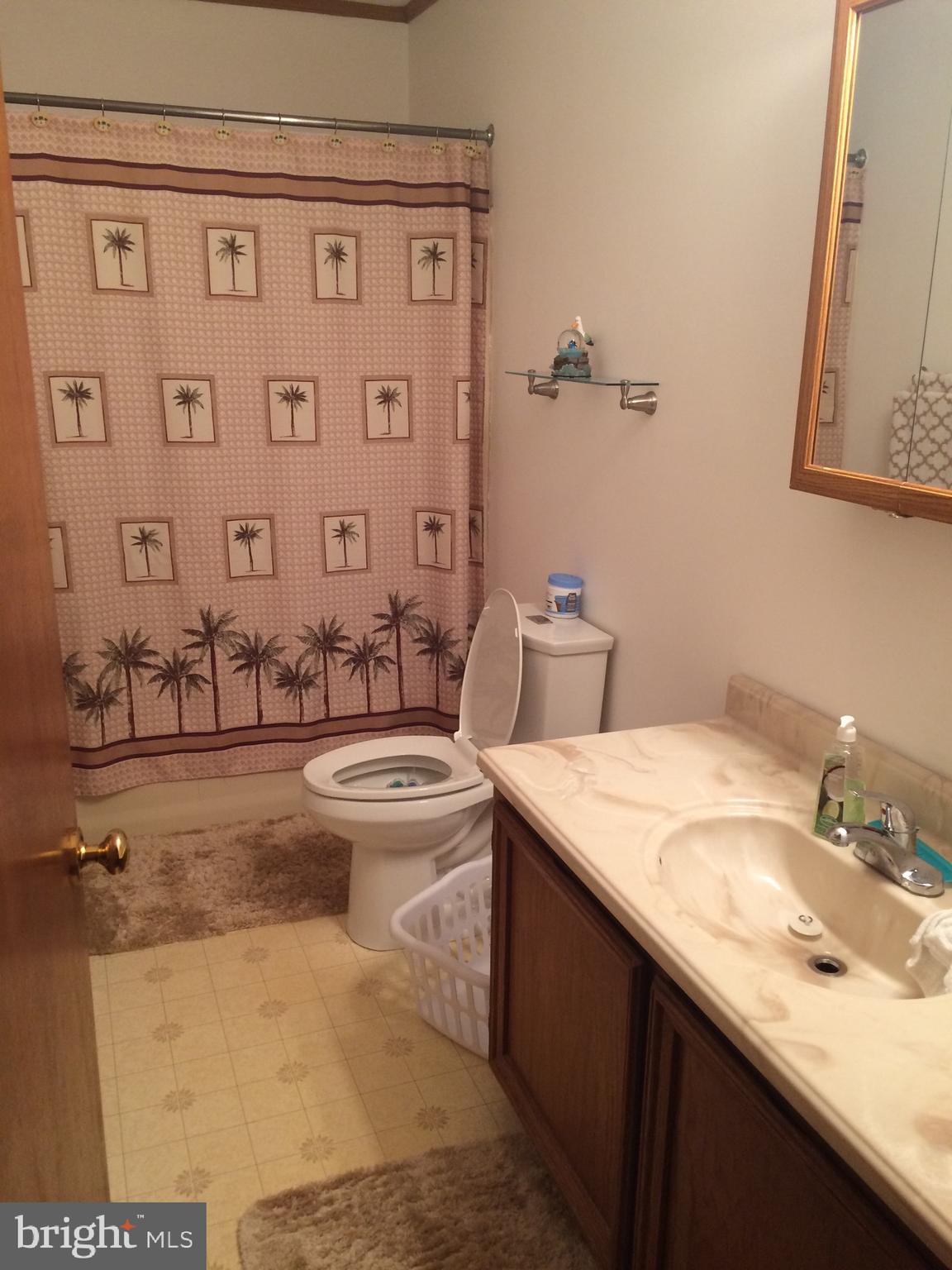 42 Roop Road Rising Sun, MD 21911 - Photo 11 of 18 Spacious Bath