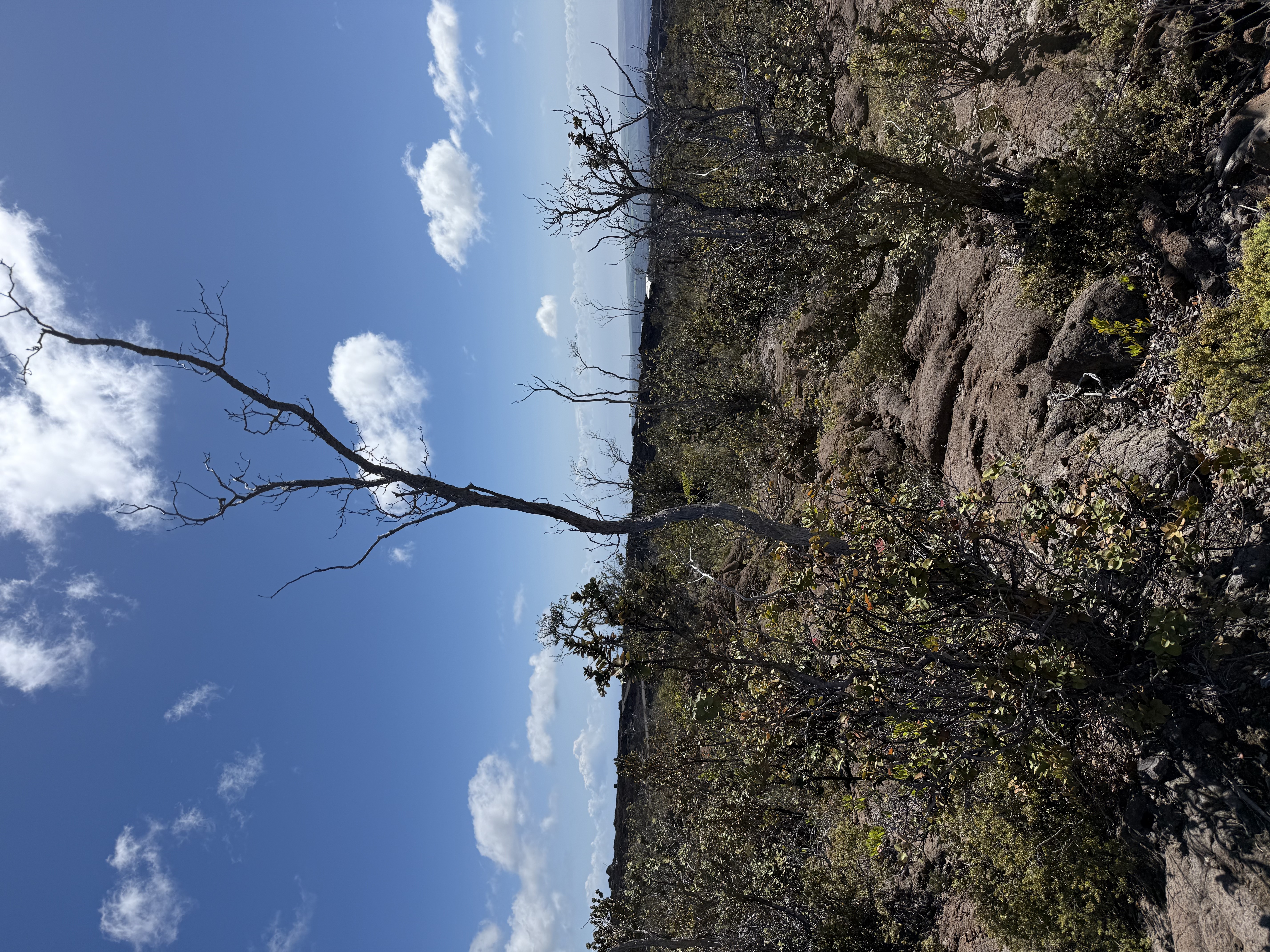 92-8520 Lot 4 Iwalani Circle Ocean View, HI 96704 - Photo 14 of 20 a view of a city