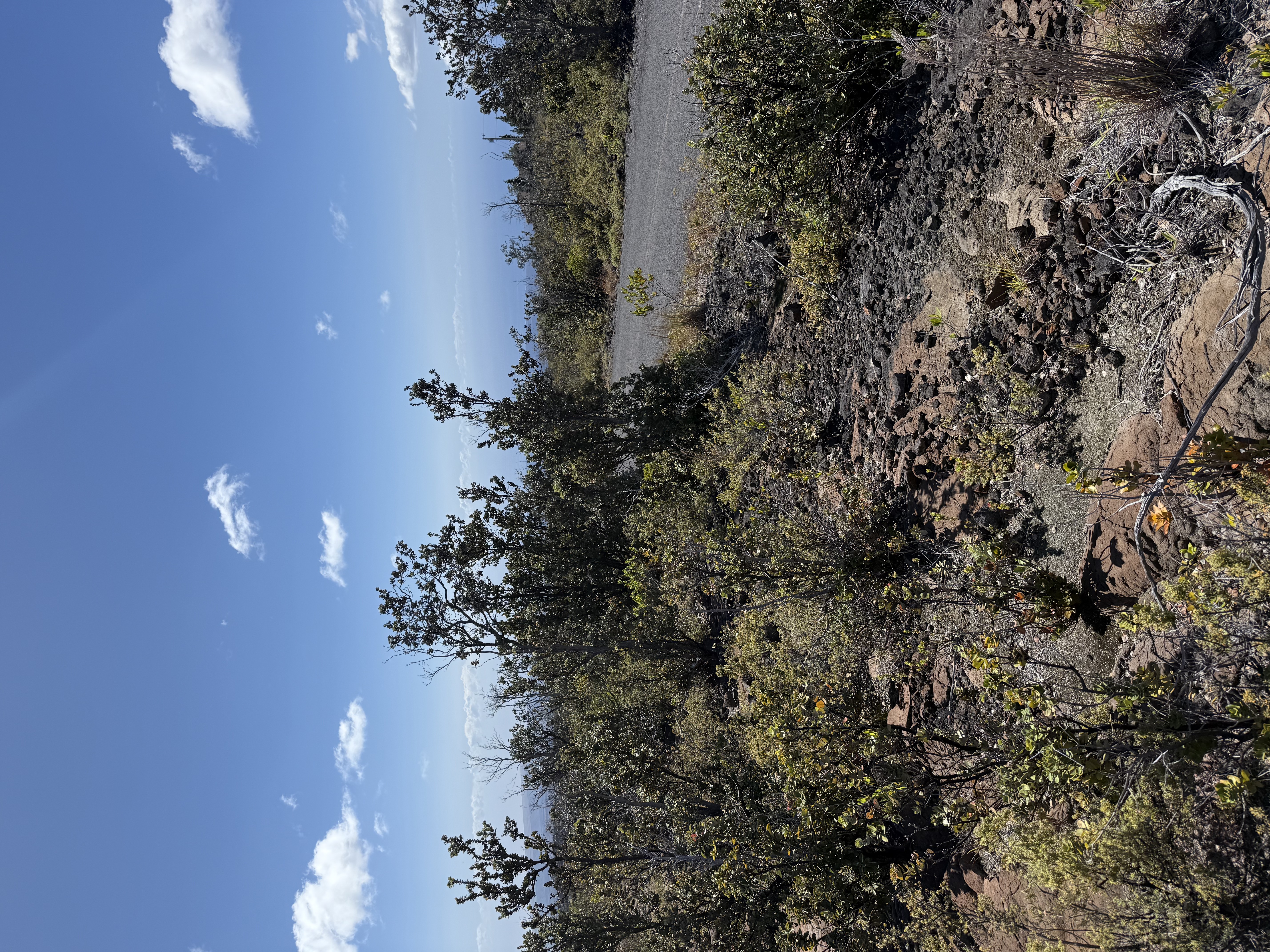 92-8520 Lot 4 Iwalani Circle Ocean View, HI 96704 - Photo 18 of 20 a view of a covered with green space
