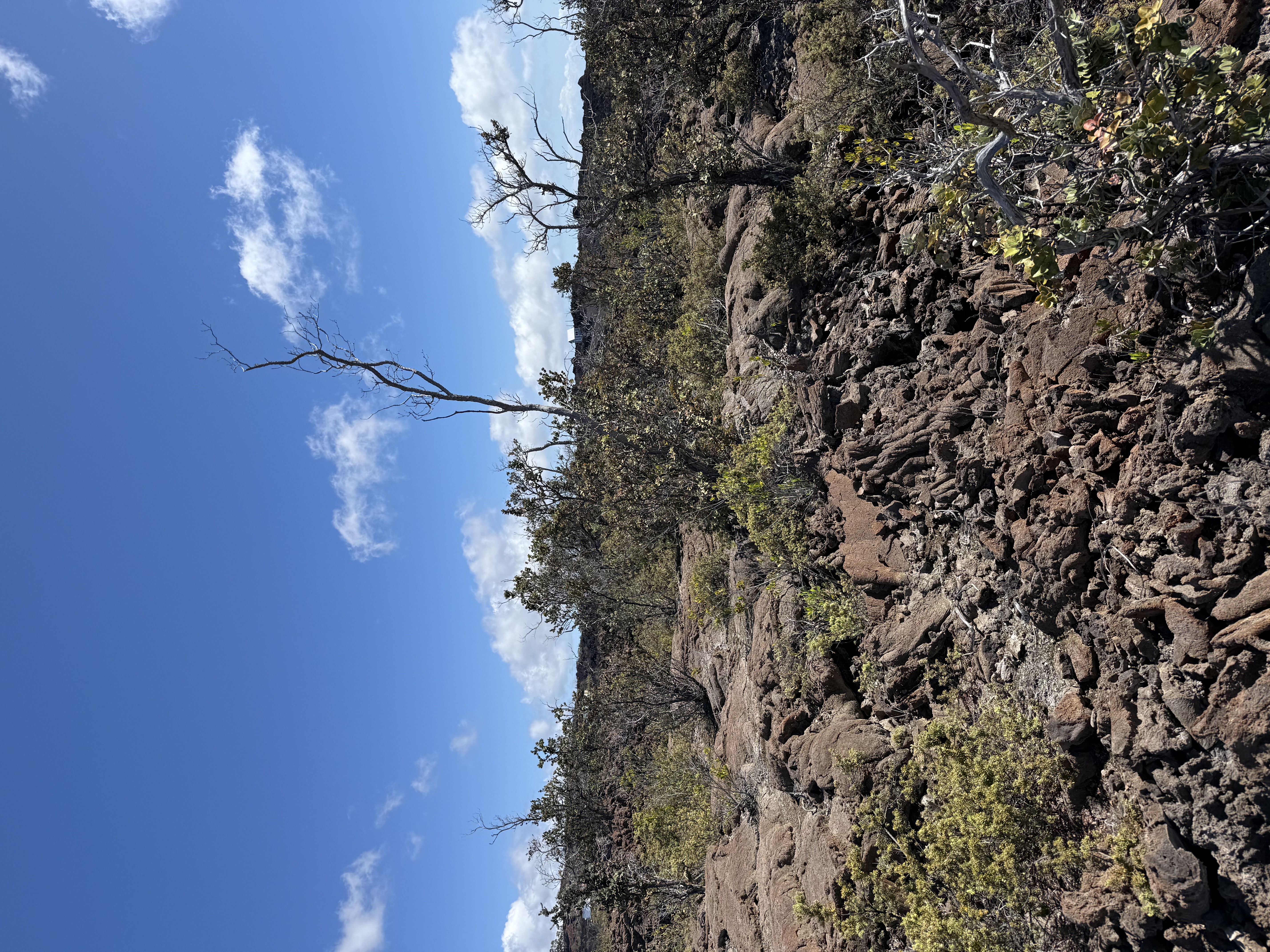 92-8520 Lot 4 Iwalani Circle Ocean View, HI 96704 - Photo 5 of 20 a view of a dry yard with lots of green space