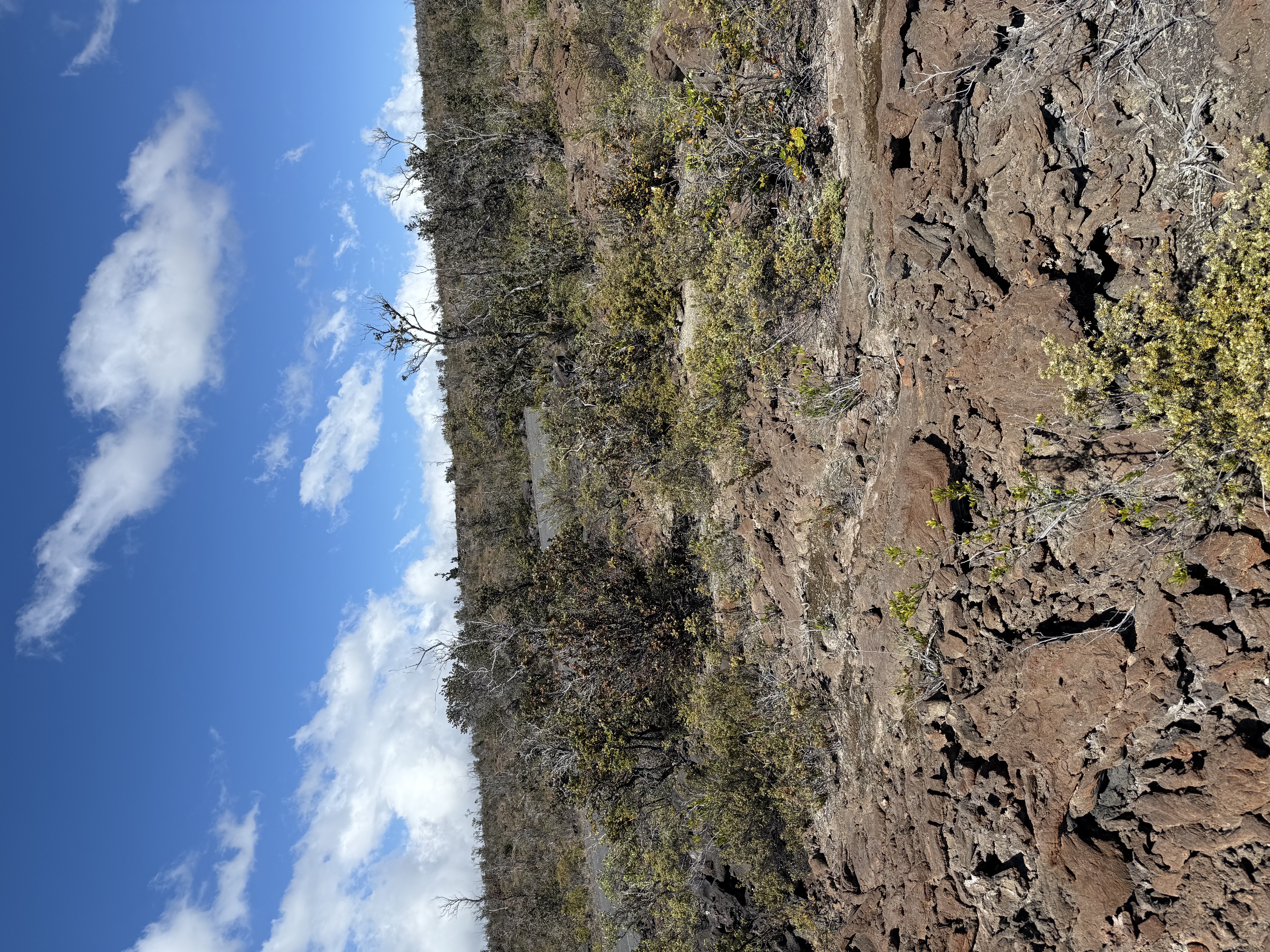 92-8520 Lot 4 Iwalani Circle Ocean View, HI 96704 - Photo 8 of 20 a view of mountain view with lots of trees