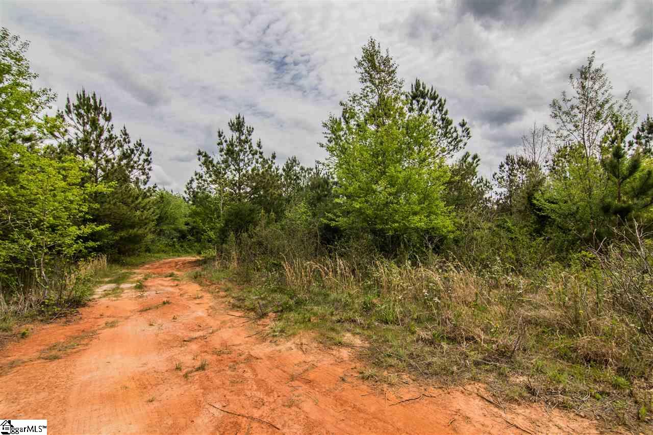 832 Dunklin Bridge Road Fountain Inn, SC 29644 - Photo 22 of 36