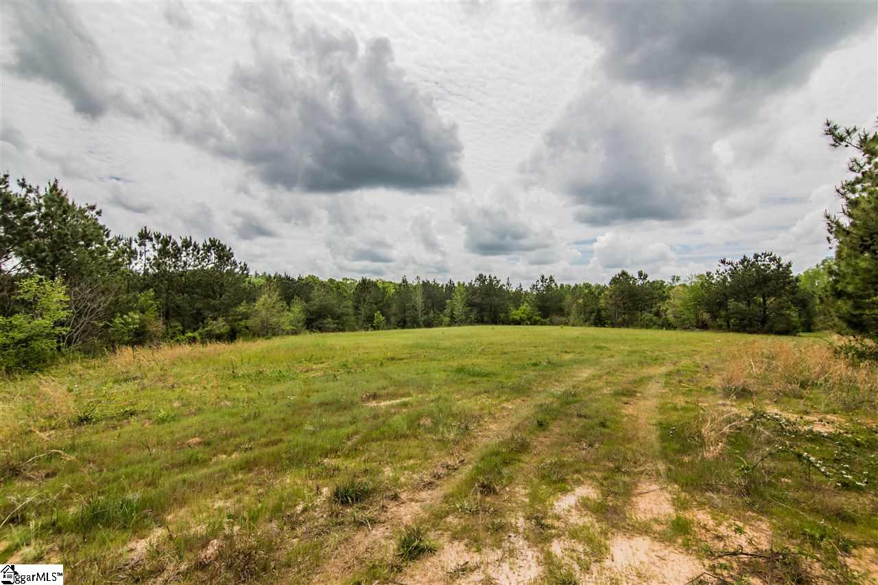 832 Dunklin Bridge Road Fountain Inn, SC 29644 - Photo 23 of 36